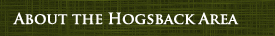 About the Hogsback area in the Eastern Cape South Africa