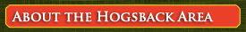 About the Hogsback area